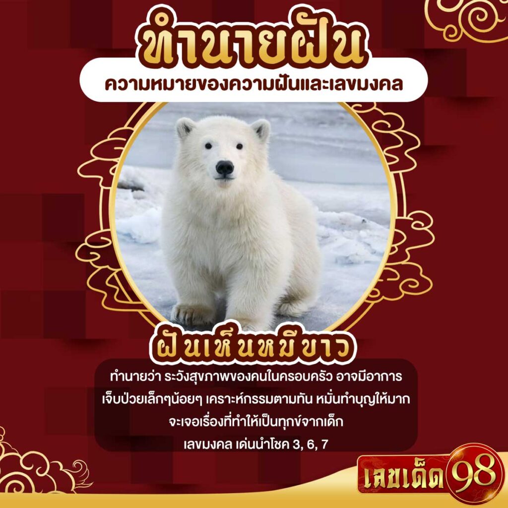 ฝันเห็นหมีขาว