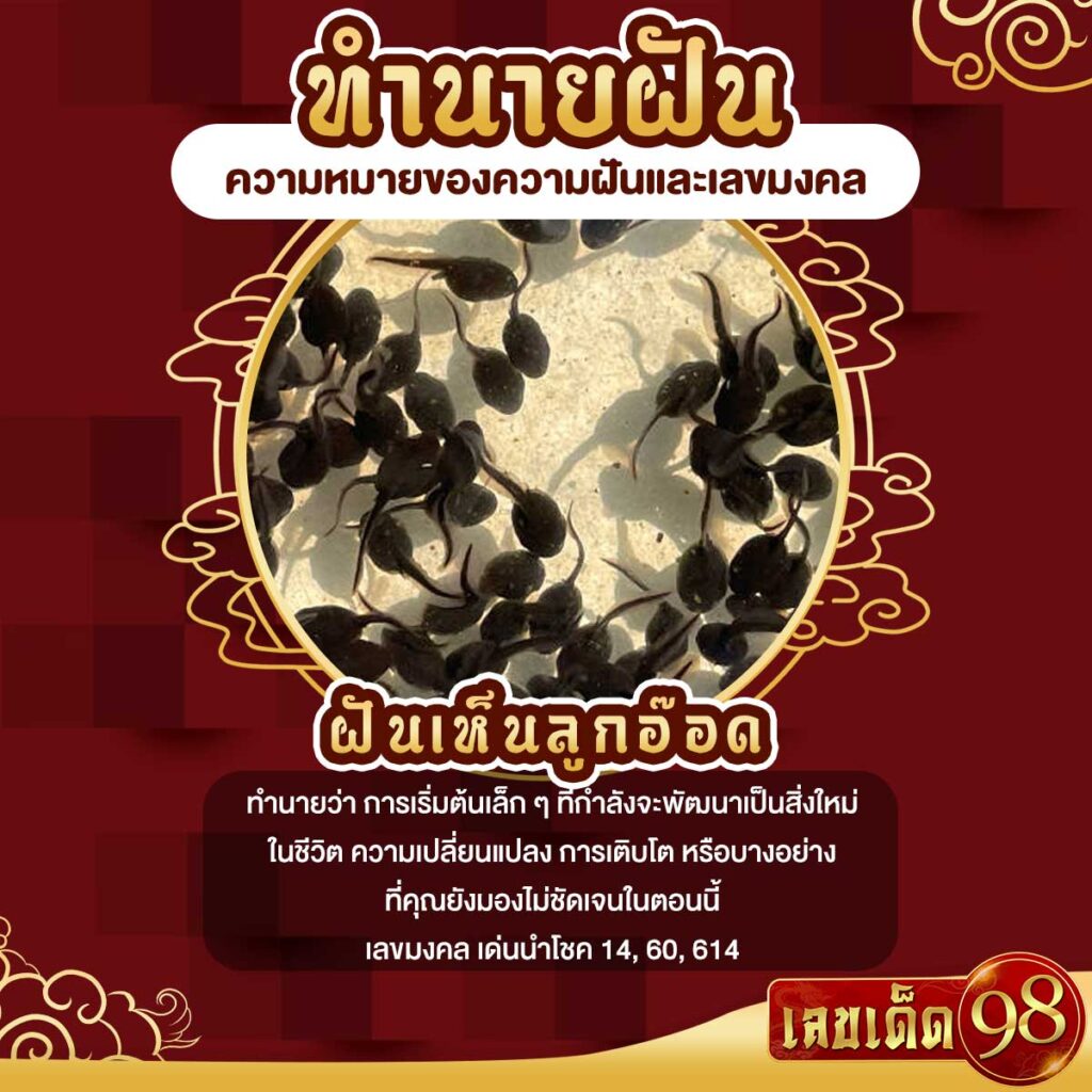 ฝันเห็นลูกอ๊อด