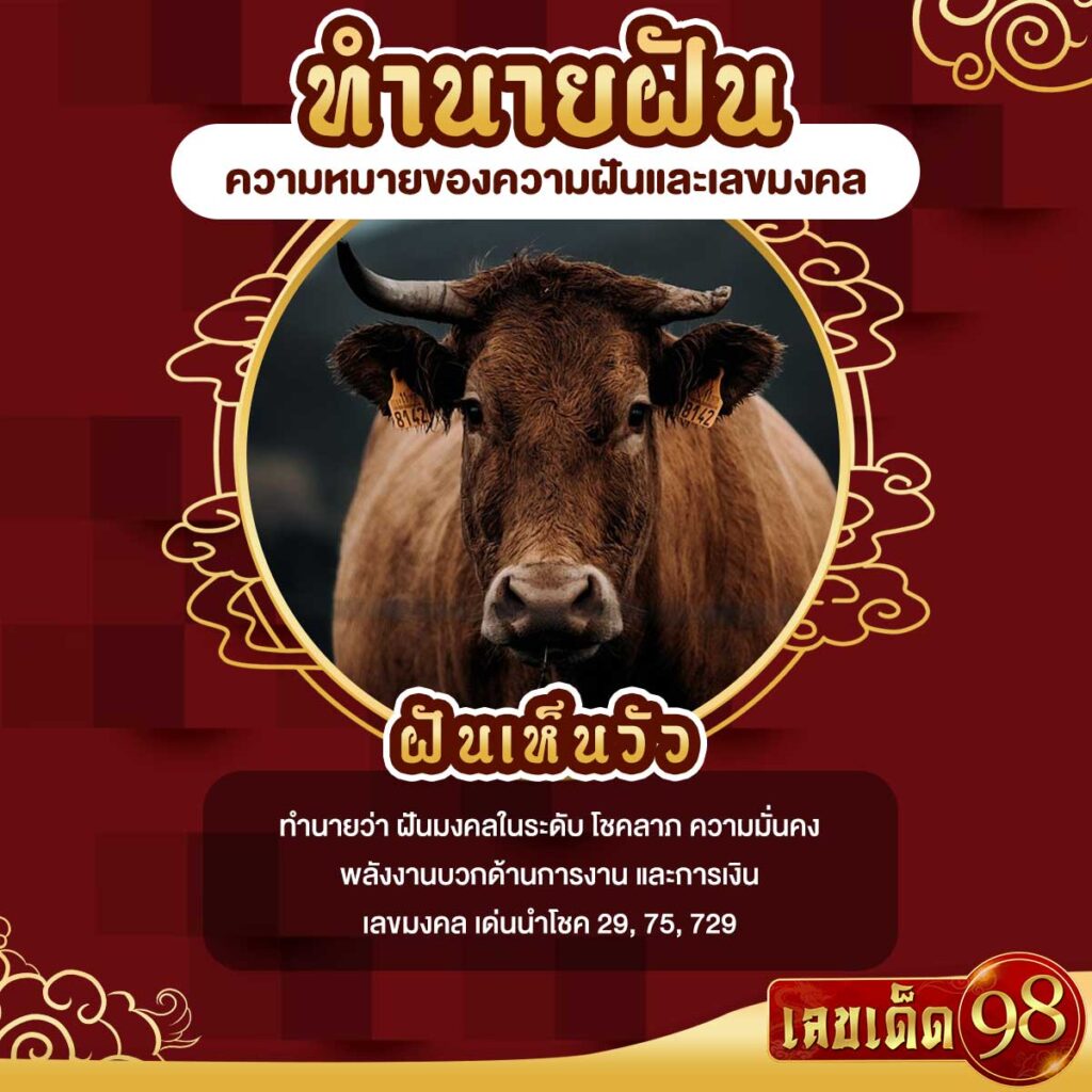 ฝันเห็นวัว