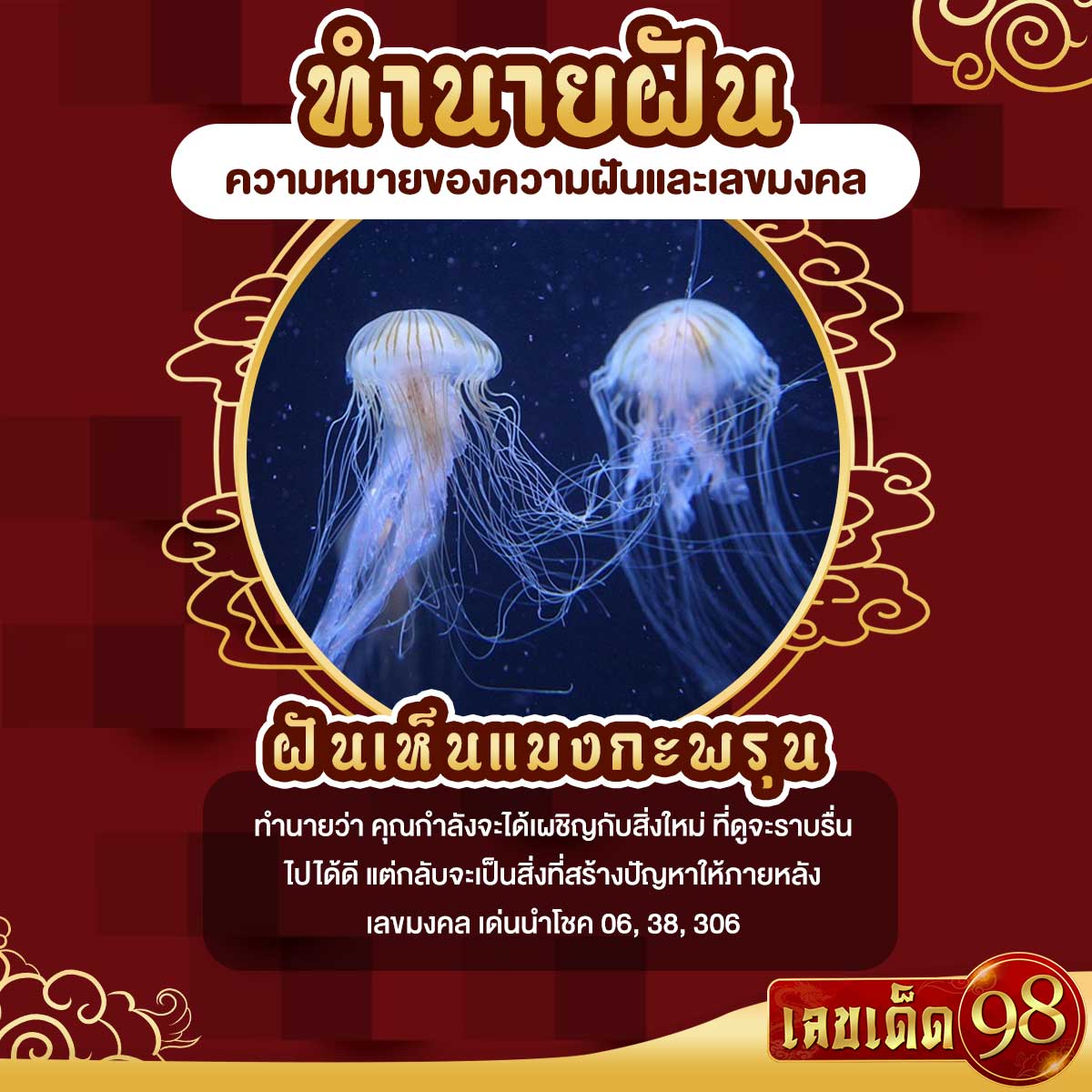 ฝันเห็นแมงกะพรุน