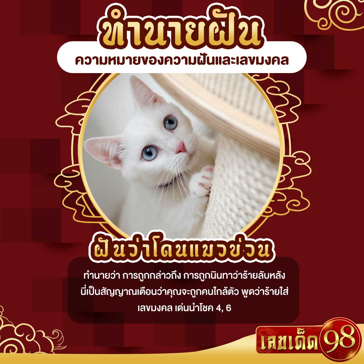 ฝันว่าโดนแมวข่วน