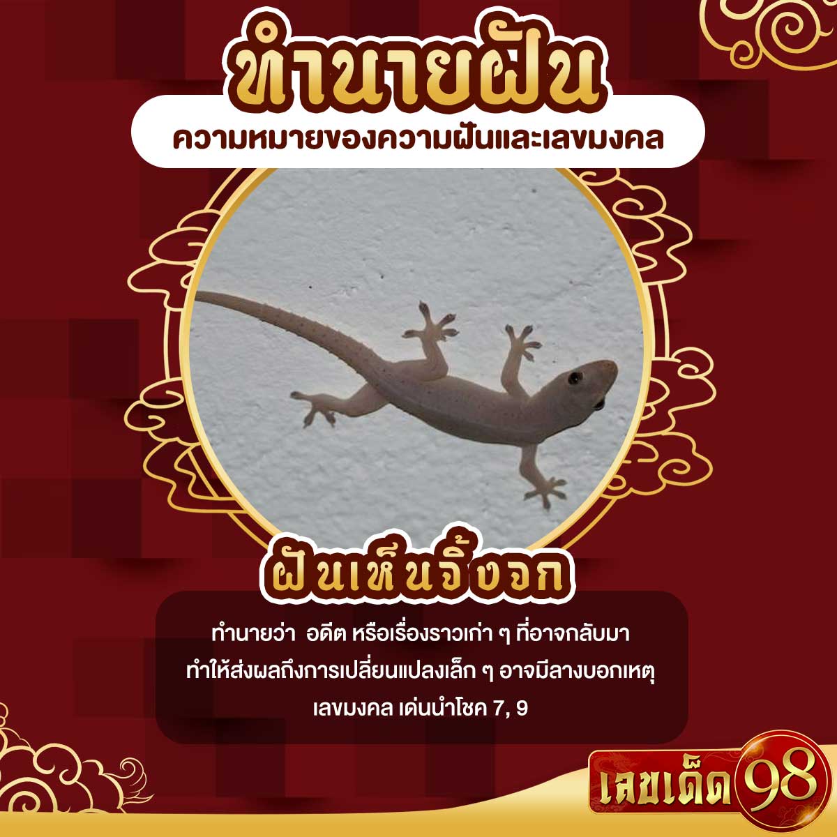 ฝันเห็นจิ้งจก