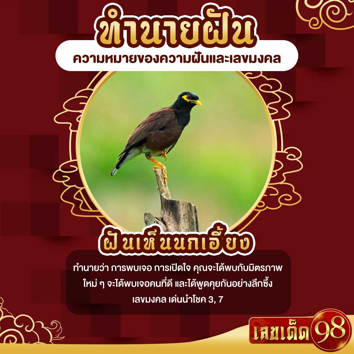 ฝันเห็นนกเอี้ยง