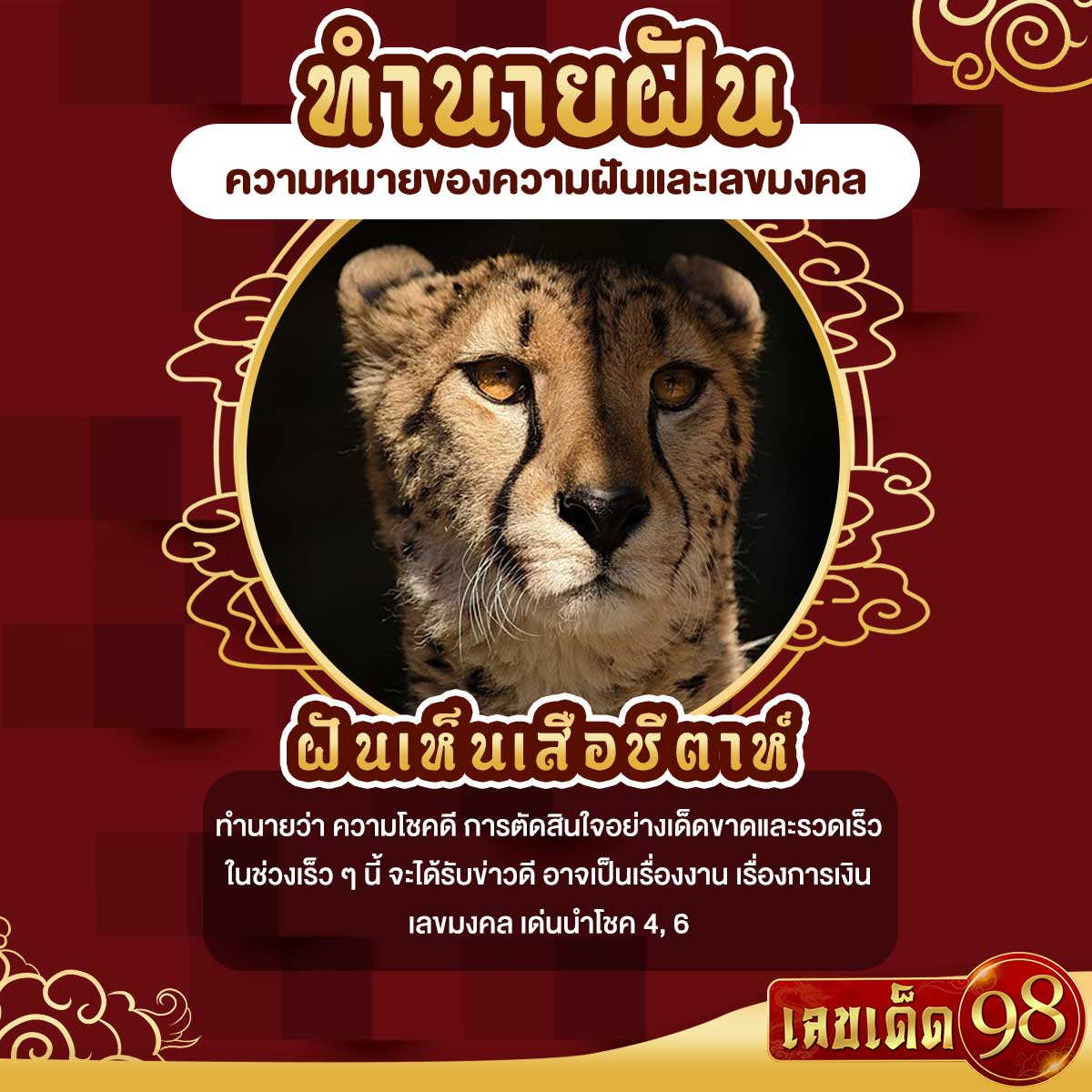 ฝันเห็นเสือชีตาห์