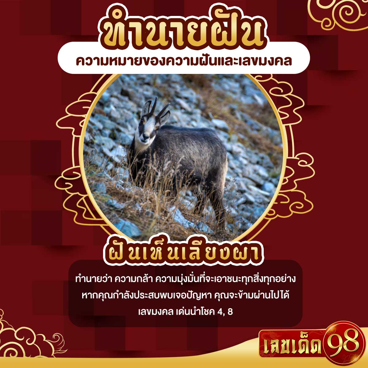 ฝันเห็นเลียงผา